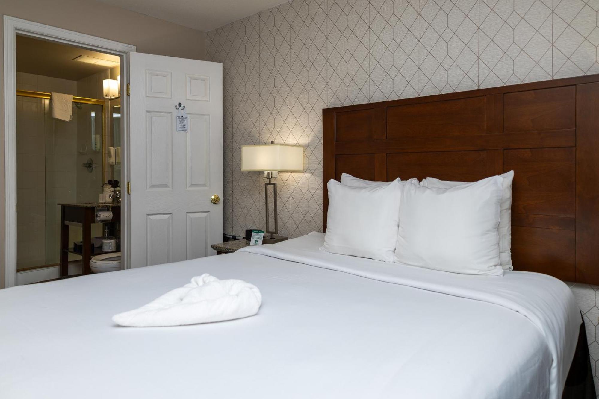 Hotel Quality & (adults Only)